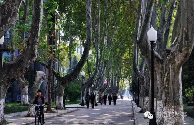 不花一分钱游遍美景,不花一分钱游遍全世界