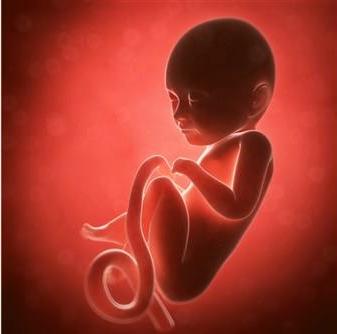 孕妇大意导致胎儿畸形,孕妇怀着双胞胎宝宝忽然羊水破了