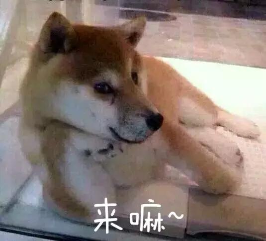 一琴一录音｜天一掌门居然也是录音狗！