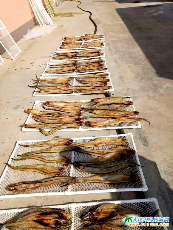 大连旅游攻略赶海和美食,大连旅游攻略必去的十大美食