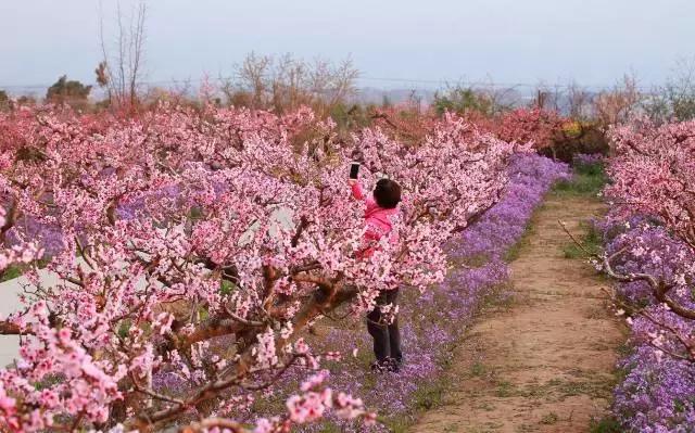 大西安·微PK｜阎良区竟然还有这么多名字你知道几个？