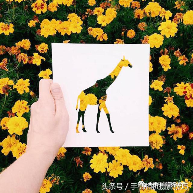 不用ps拍出惊艳的图片,在家自己拍摄10个创意摄影方法