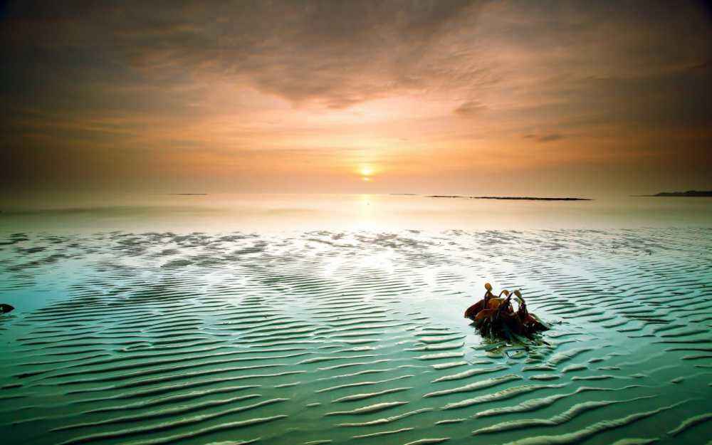 你想找个怎样的男人,你想找一个什么样的男朋友英文