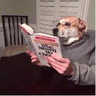 孤单寂寞冷，「alone，lone」傻傻分不清！