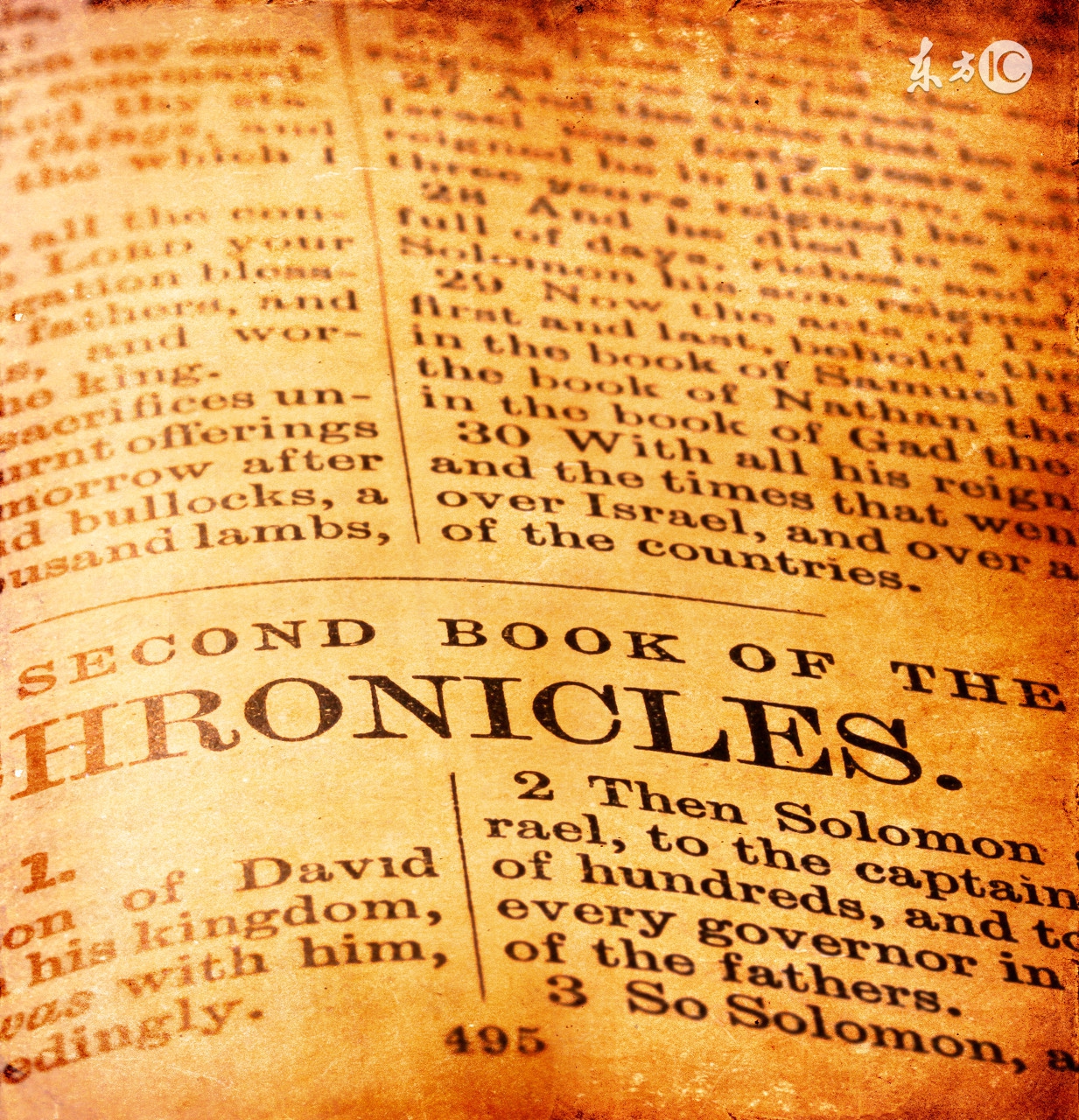 英文单词不认识用什么软件,对英语不懂怎么办