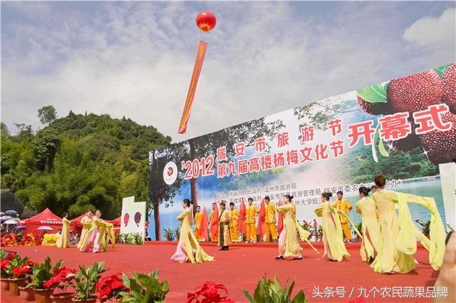 胡晓云,农产品区域公用品牌政策体系