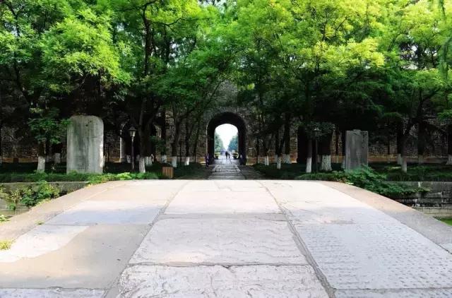 不花一分钱游遍美景,不花一分钱游遍全世界