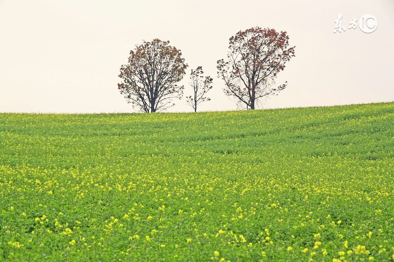 你的命理五行到底属什么,刀五行属什么