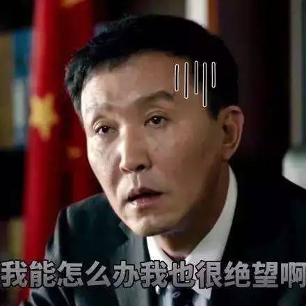 看房记轻奢风,看房记大平层