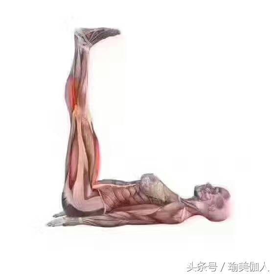 我的骨头硬能练瑜伽吗,零基础骨头很硬能练瑜伽吗