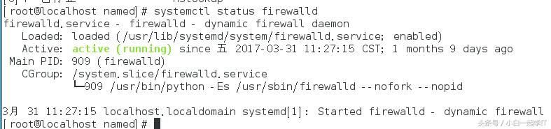 linux配置dns服务器步骤,在linux中dns服务器配置
