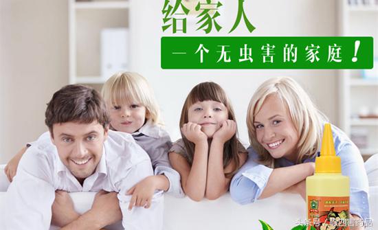 白蚁用什么药能彻底根除,白蚁药最简单配方