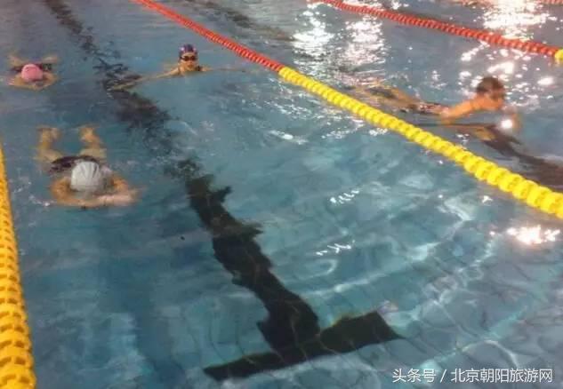 优质游泳馆推荐,游泳馆清凉一夏