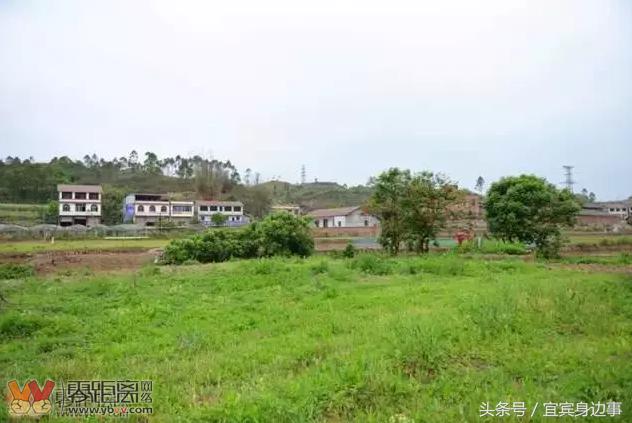 小龙虾基地钓龙虾,瑶海野钓龙虾的最佳地点