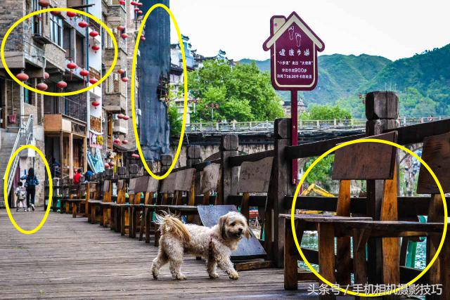 为什么你拍出来的照片很不好看,为什么拍出来的照片反过来就难看