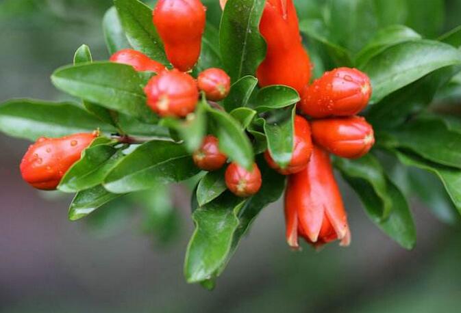 关于排卵期的征兆,备孕的你们身体都有哪些反应