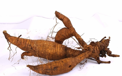 这种植物是血管的天然支架,可惜网上那些包装高档的都是假货!