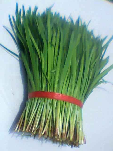 夜雨剪春韭图片,夜雨剪春韭的全诗