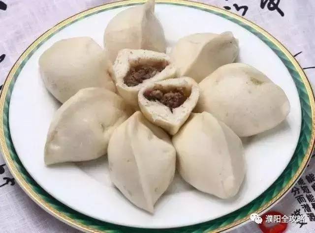 中华龙乡河南濮阳,河南中华龙