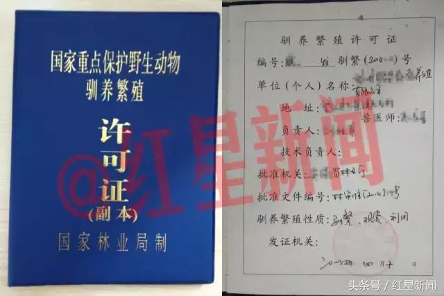 养鹦鹉被判刑的有多少,卖鸟被判10年