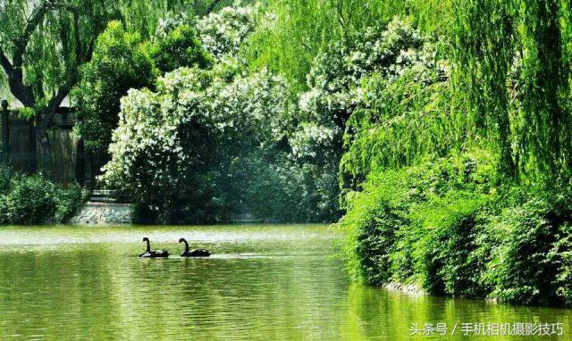 为什么你拍出来的照片很不好看,为什么拍出来的照片反过来就难看