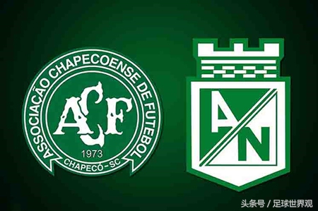 各队赛前纪念沙佩科恩斯,沙佩科恩斯单脚