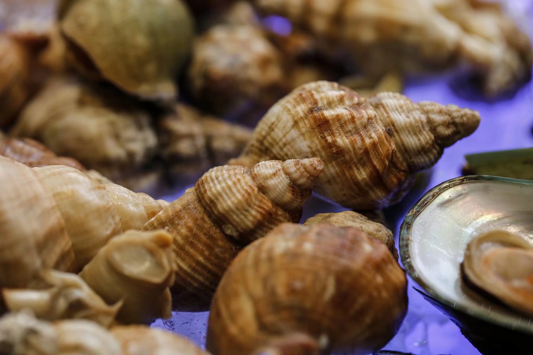 这样的休闲度假方式也很不错