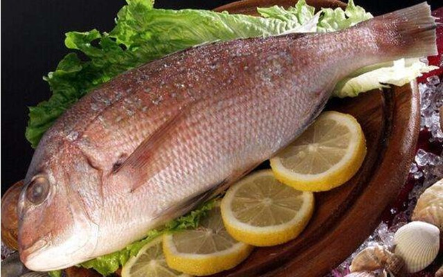 试管备孕期间女性要吃什么,试管备孕吃什么成功率高