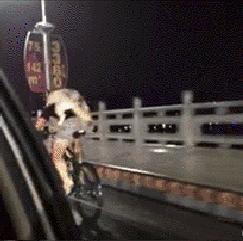 狗狗不愿意回家,狗狗出去遛不愿意回家