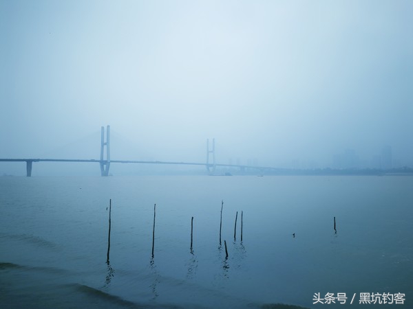 鱼类喜欢酸性还是碱性,鱼的趋温性是怎么回事