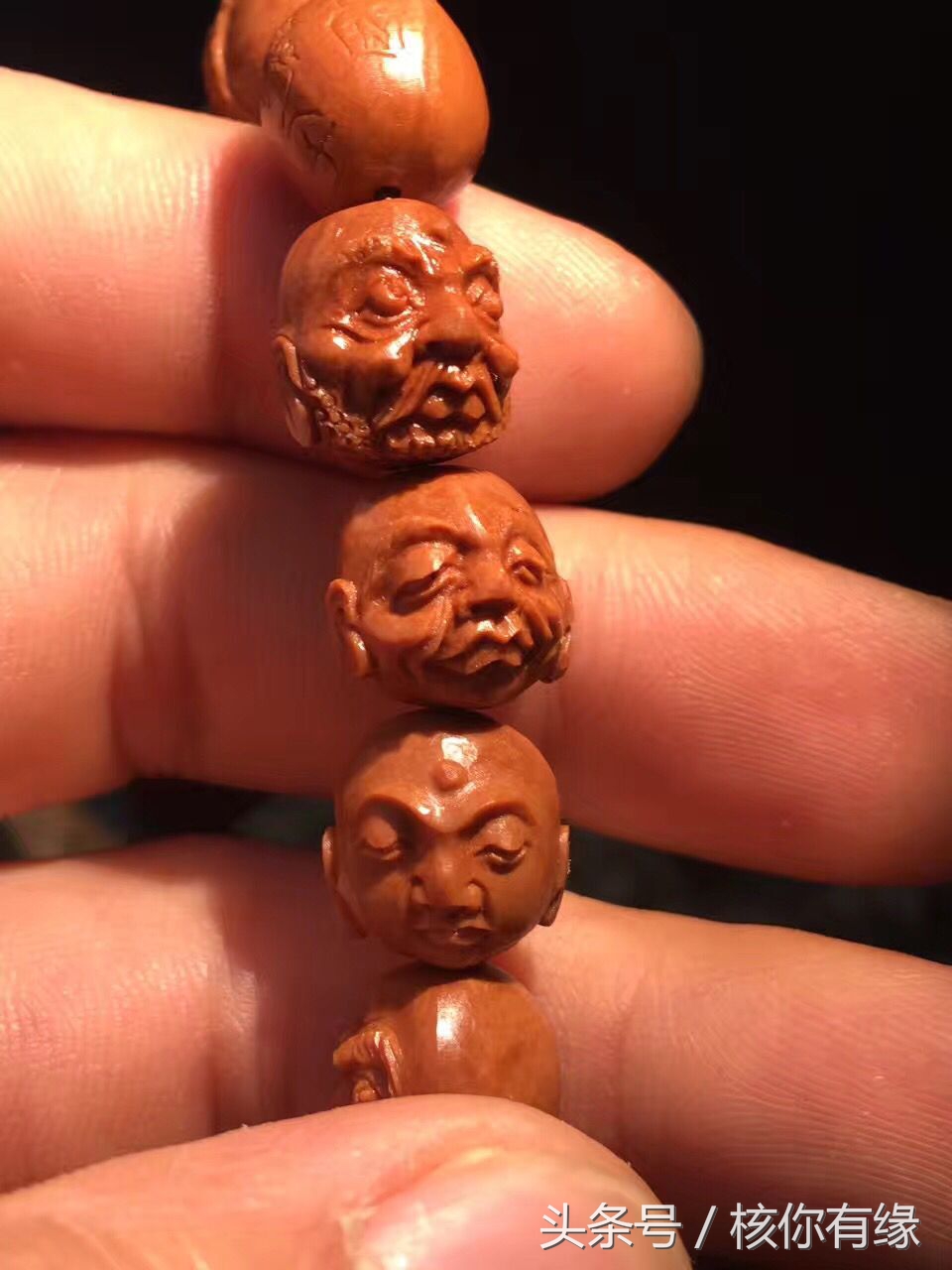 橄榄核小籽图片,橄榄核大核和小核籽产地