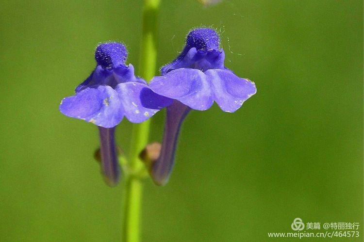 走过四季夏天最美,走过春夏美丽的秋冬