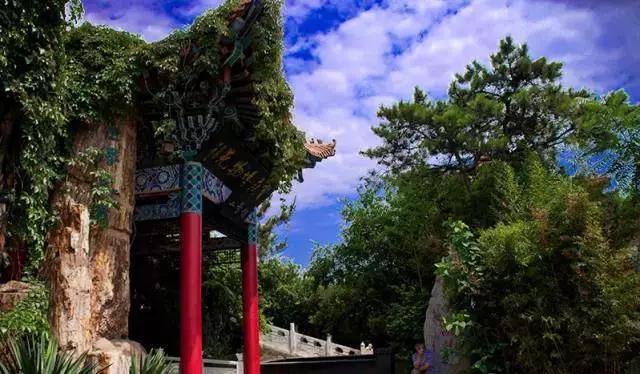 天津值得游玩门票便宜的景点,天津旅游攻略必去景点门票多少钱