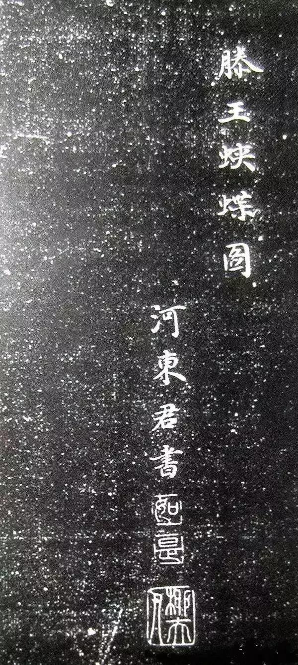 舒淇郭子凡,舒淇王天林