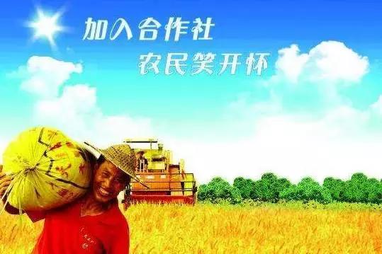 合作社分红交税吗,合作社分红要交多少个人所得税