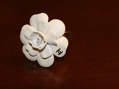 世界上独一无二的山茶花图片,世界上最古老的山茶花