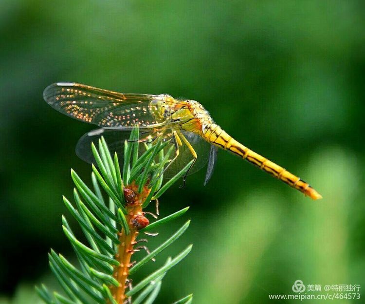 走过四季夏天最美,走过春夏美丽的秋冬