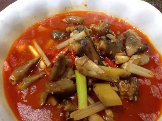 美食来咯完整视频,美食来啦这么多美食你吃过吗