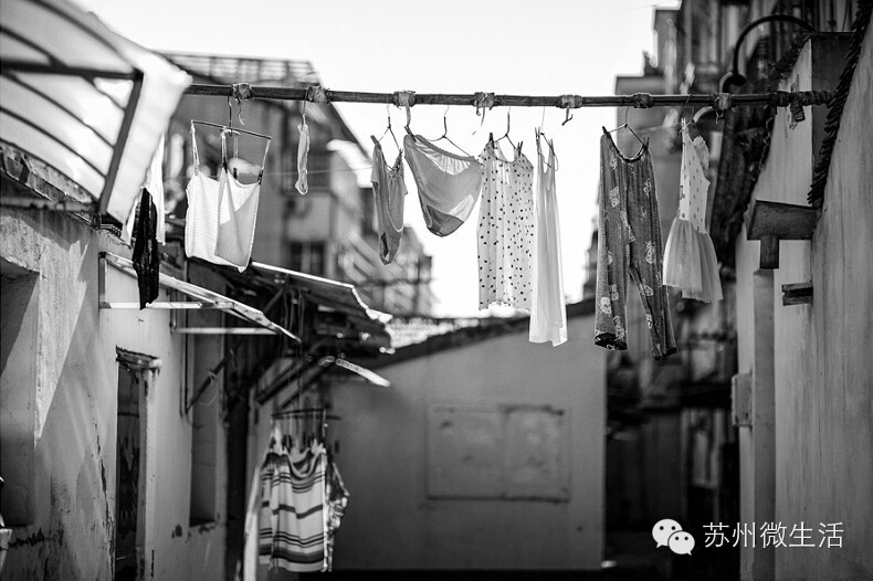 苏州最值得去的五个景点,苏州最值得去的10个景点排名