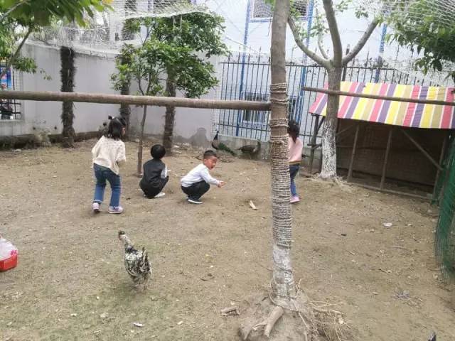 五月的小可爱们视频,五月可爱的小宝宝