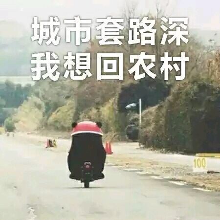 新手玩剑灵去哪个区,平民玩家怎么玩剑灵