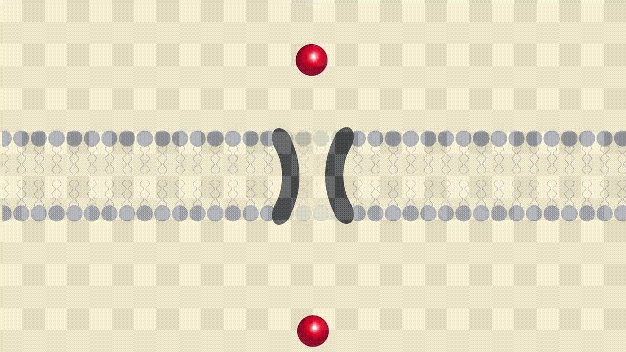《科学》:难以置信!美国三所高校联合发现神奇小分子,开启疾病治疗新方向|奇点猛科技
