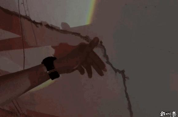 南宁市虫害防治,南宁园林白蚁防治方法