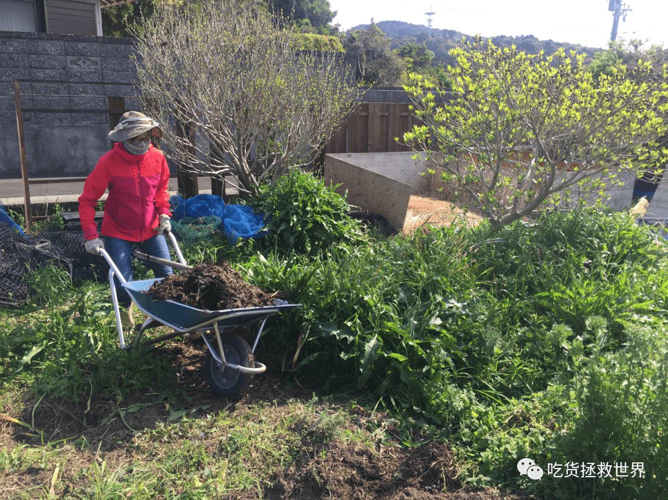 鎴戝湪妯辫姳灏忛晣,鍦ㄦū鑺遍鑸炵殑瀛ｈ妭