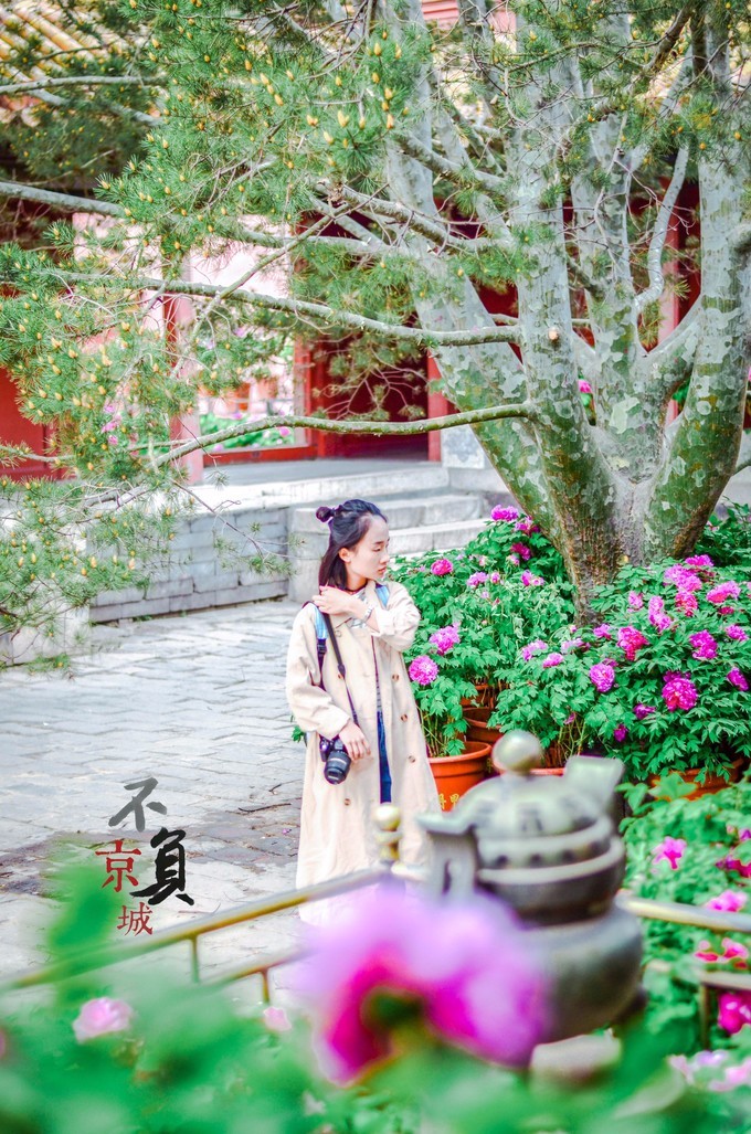 一个单反·踏春北上错过北奥，错过APEC，终于！我这一个小老百姓来到了皇城根底下