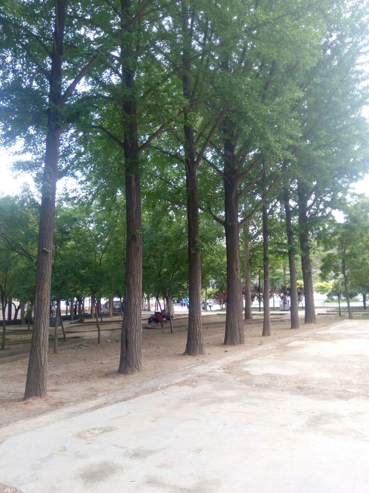 淄博二中,淄博往事