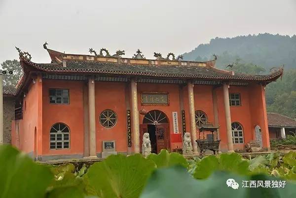 江西广昌白莲之乡,走遍江西100县