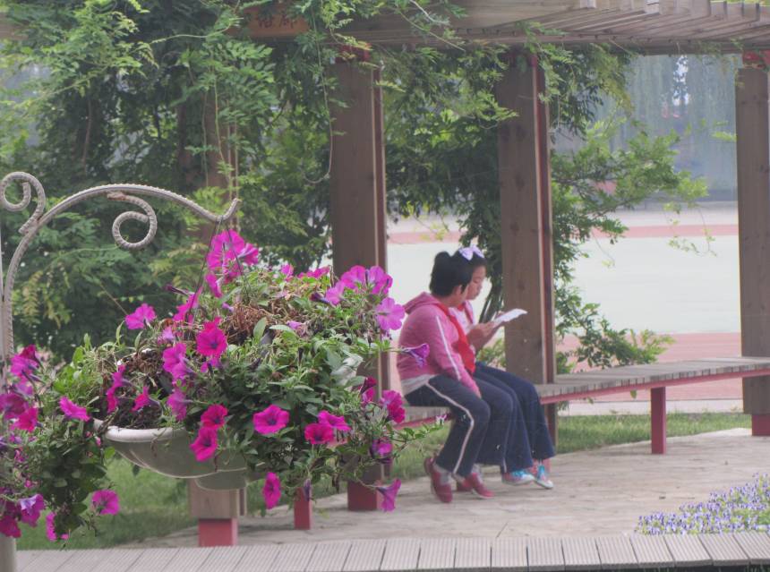 最新优质学校消息,新优质学校