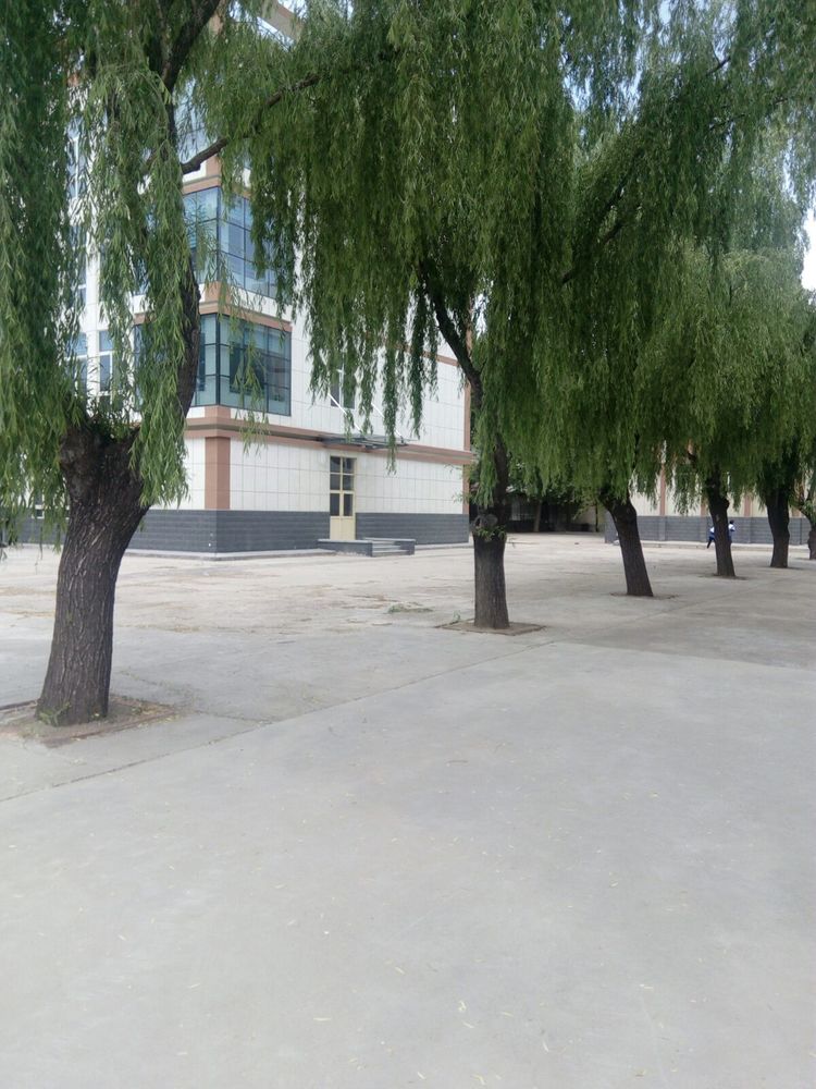 淄博二中,淄博往事