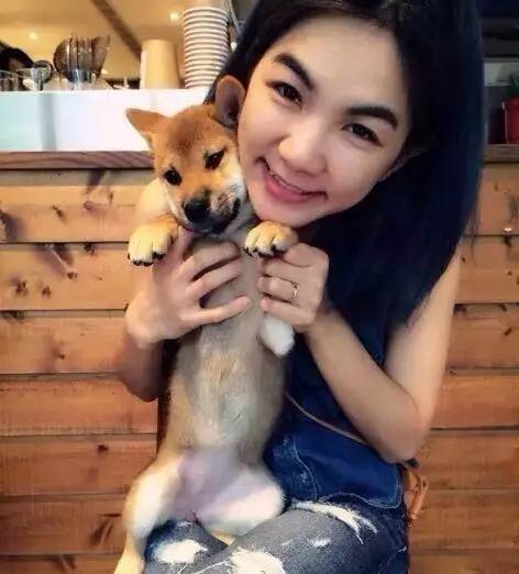 养狗狗会不会影响怀孕,养狗狗对孕早期影响大吗